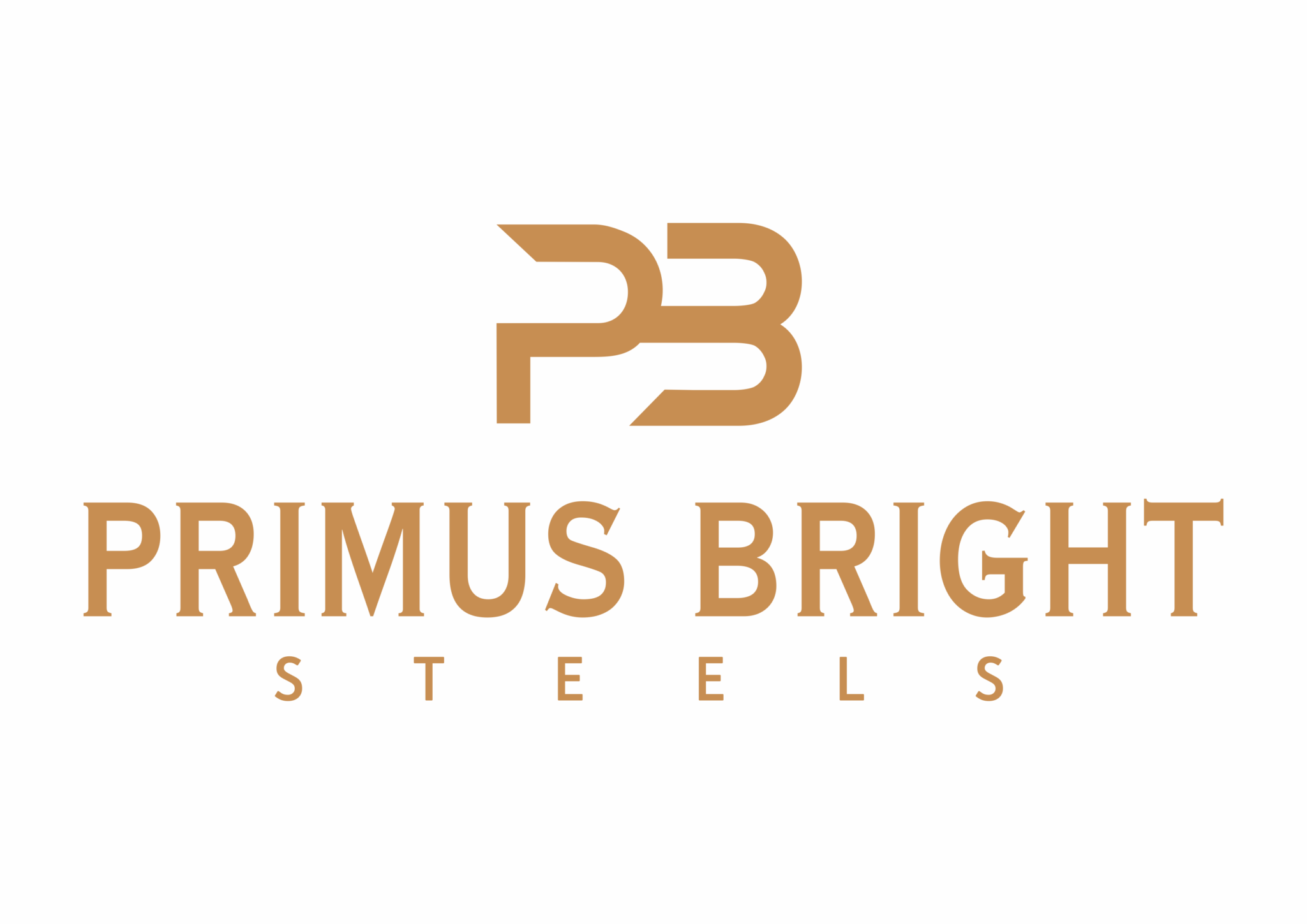 About – PRIMUS BRIGHT STEELS